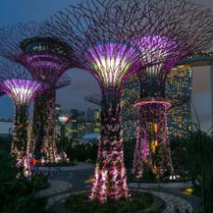 Singapur 7