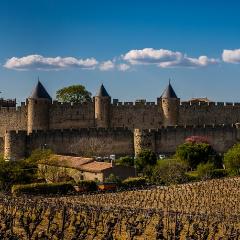 Carcassonne pano 11