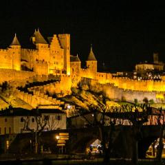 Carcassonne pano 24