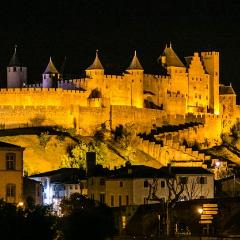 Carcassonne pano 25