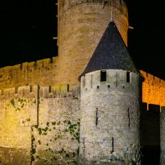 Carcassonne pano 29