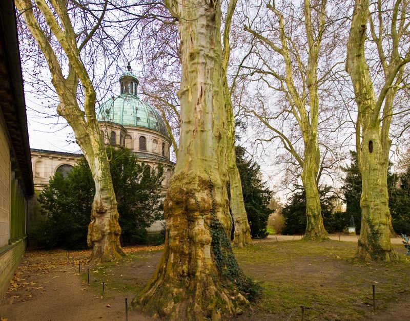 Potsdam pano drzewa