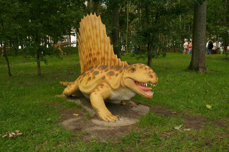 DIMETRODON