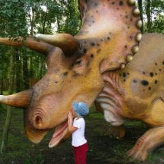 TRICERATOPS 1